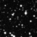 2019wed_image