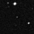 2019wek_image