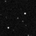 2019wfj_image