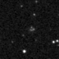 2019wfy_image