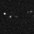 2019wgb_image