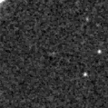 2019wgj_image