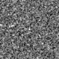2019wgo_image