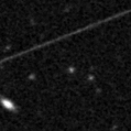 2019wgq_image