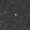 2019whh_image