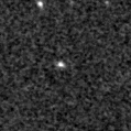 2019whi_image