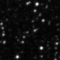 2019whl_image