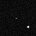 2019whm_image