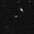 2019whq_image