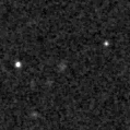 2019whx_image