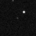 2019whz_image