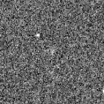 2019wia_image