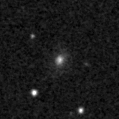 2019wjl_image