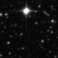 2019wjt_image