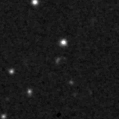 2019wli_image