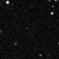 2019wlo_image
