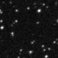 2019wlp_image