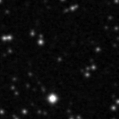 2019wlt_image