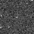 2019wma_image