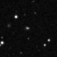 2019wmi_image