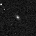2019wnc_image