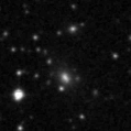 2019wni_image