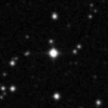 2019wns_image