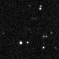 2019wnx_image