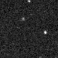 2019wok_image
