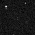 2019wpl_image