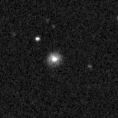 2019wqg_image