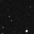 2019wqx_image