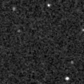 2019wrj_image