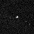 2019wrm_image