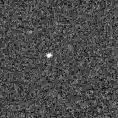 2019wsn_image
