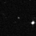 2019wsq_image