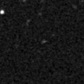 2019wst_image