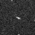 2019wsw_image