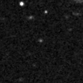 2019wsx_image