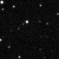 2019wuj_image