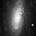 2019wur_image