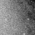 2019wvf_image