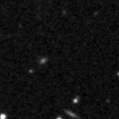 2019wvg_image