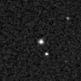 2019wvh_image