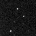 2019wvi_image