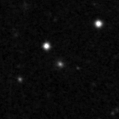 2019wvk_image