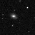2019wvn_image