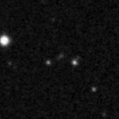 2019wvo_image