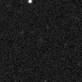 2019wvp_image