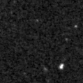 2019wwl_image